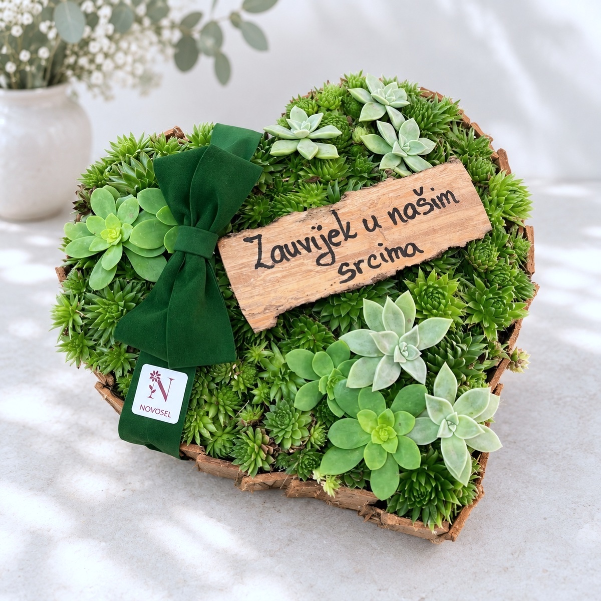 Heart of the succulent