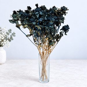 Carthamus plavi – suho cvijeće