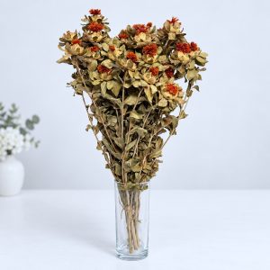 Carthamus prirodni – suho cvijeće