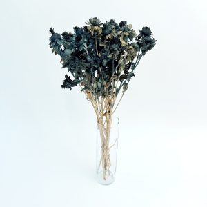 Carthamus tinctorius plavi – suho cvijeće