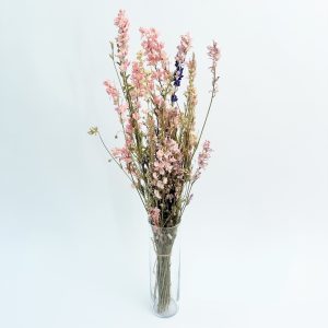 Delphinium mix – suho cvijeće