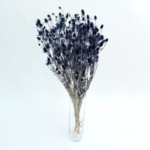 Eryngium plavi – suho cvijeće