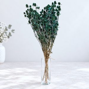 Eryngium tirkizni – suho cvijeće