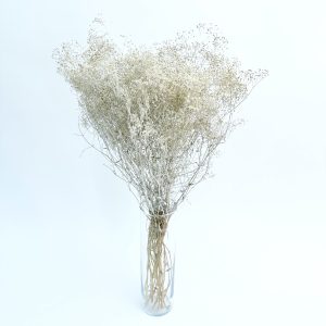 Gypsophila bijela – suho cvijeće