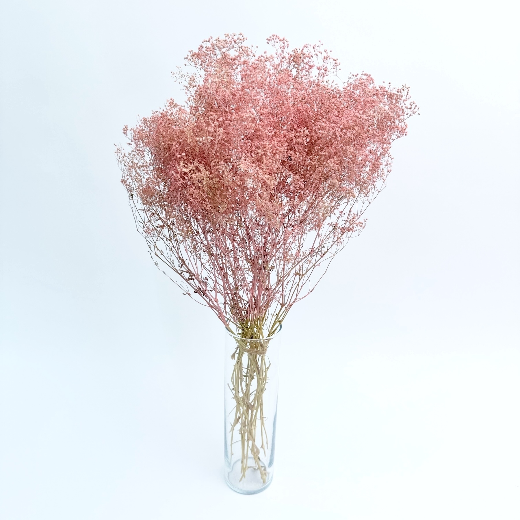 Gypsophila nježno roza – suho cvijeće