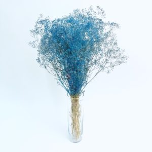 Gypsophila plava – suho cvijeće