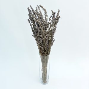 Lavanda prirodna – suho cvijeće