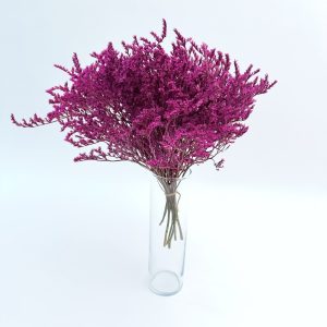Limonium tataricum ciklama – suho cvijeće