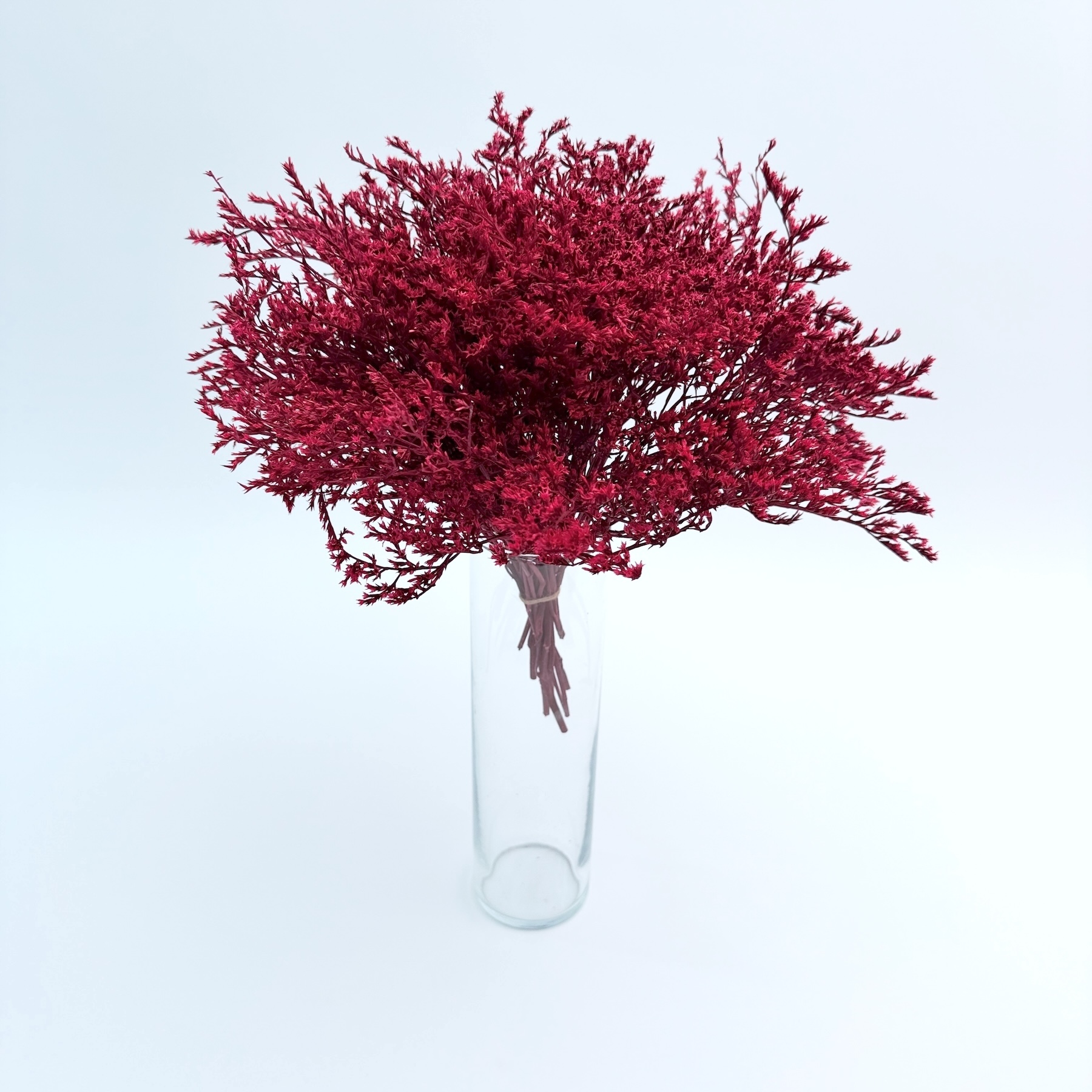 Limonium tataricum crveni – suho cvijeće