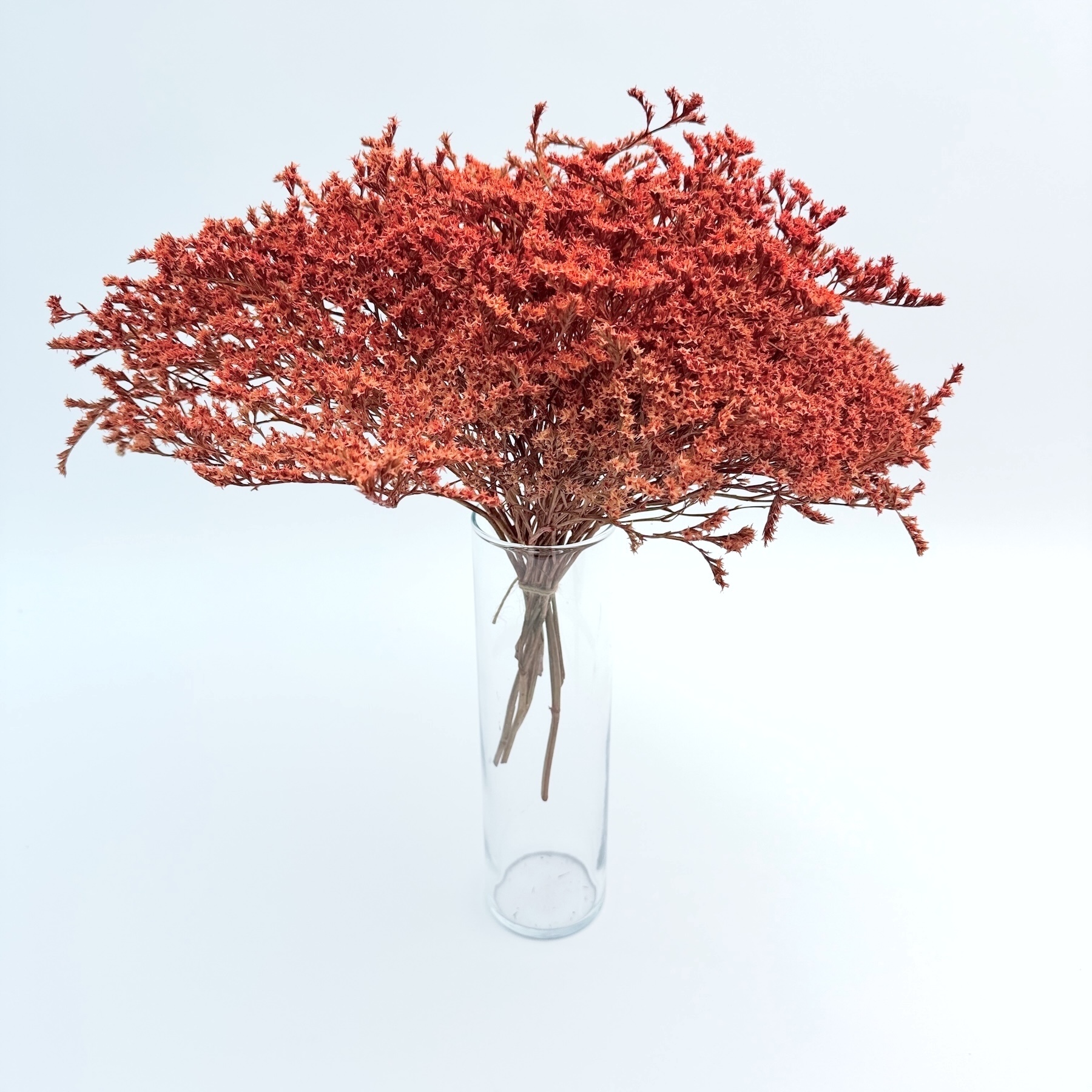 Limonium tataricum narančasti – suho cvijeće