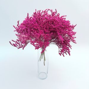 Limonium tataricum pink – suho cvijeće