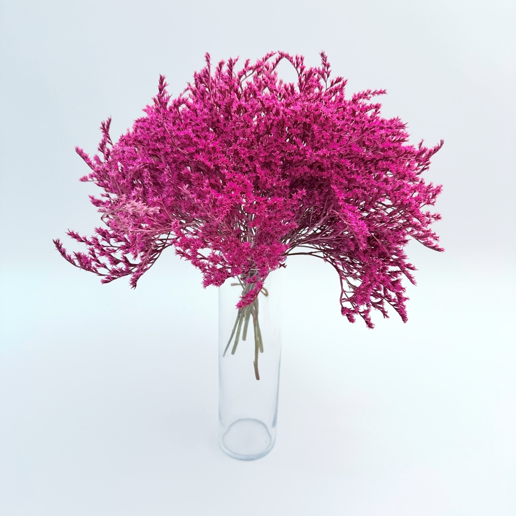 Limonium tataricum pink – suho cvijeće