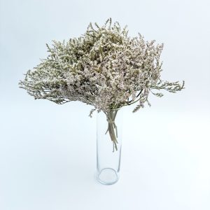 Limonium tataricum prirodni – suho cvijeće