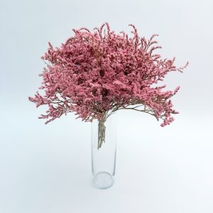 Limonium tataricum rozi – suho cvijeće