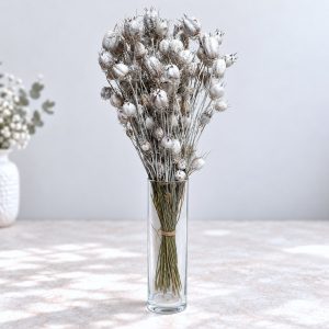 Nigella bijela – suho cvijeće