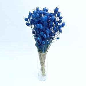 Nigella damascena plava – suho cvijeće
