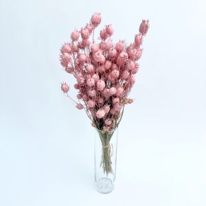 Nigella damascena roza – suho cvijeće