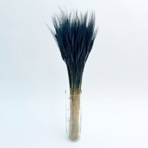 Tritikala (Triticosecale) plava – suho cvijeće