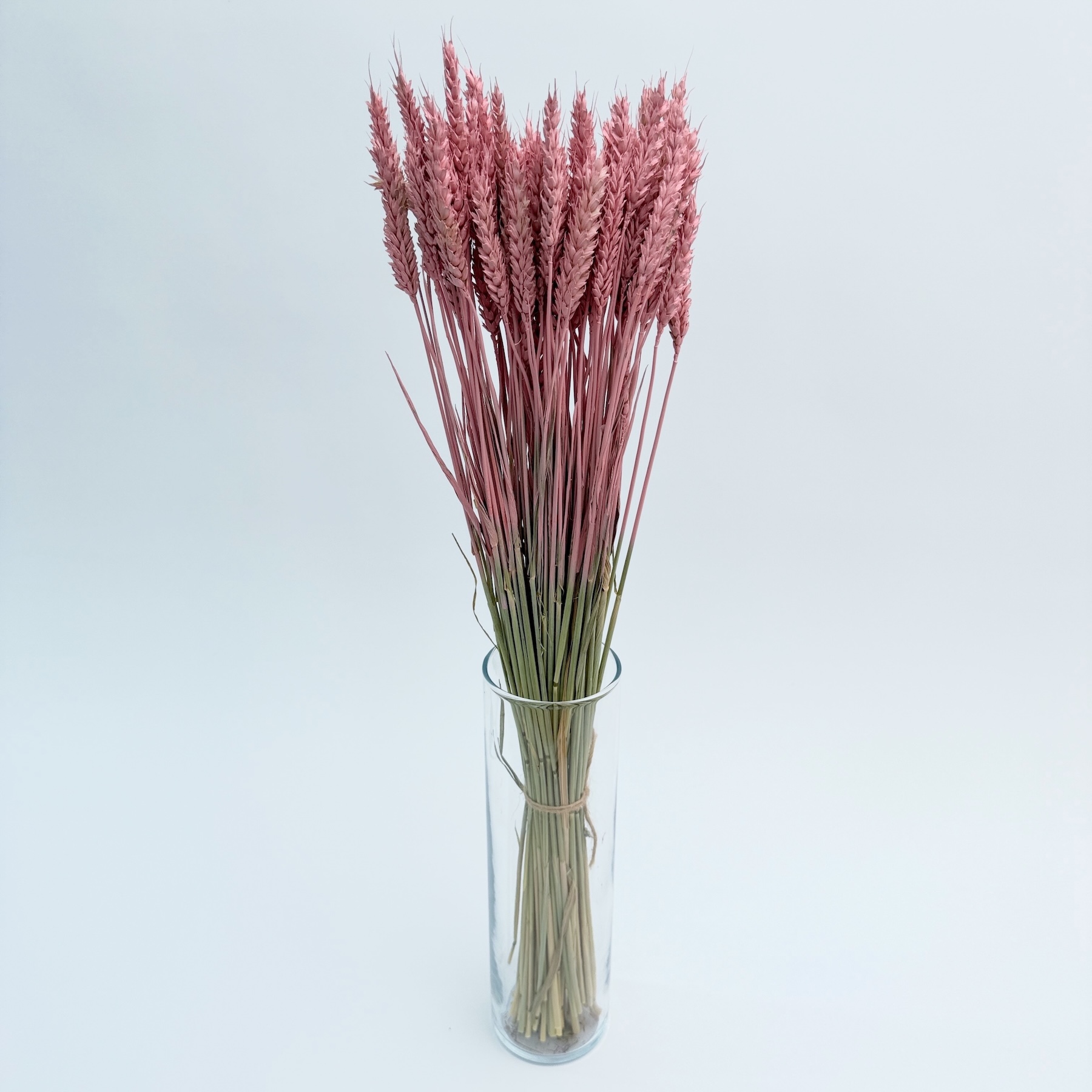 Žito (Triticum) rozo – suho cvijeće