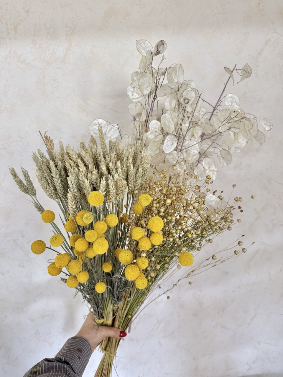 Dry flowers by species